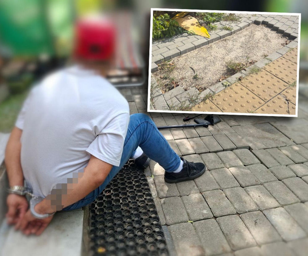 Mężczyzna ukradł miejski chodnik i wyłożył nim podwórko. Grozi mu więzienie