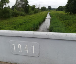 To jedno z najpiękniejszych miast na Śląsku. Czaruje jedynym takim pałacem myśliwskim w Polsce