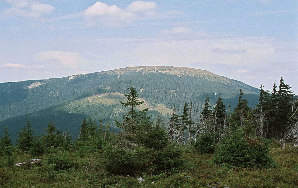 Sudecki Śnieżnik 