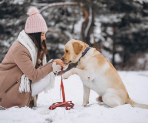 Jak dbać o pupila w mroźne dni? Pamiętaj o tych zasadach