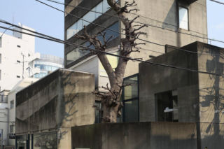 INTERNATIONAL 2026 w GA Gallery w Tokio. Pokazali kierunki rozwoju światowej architektury. Jest polski akcent
