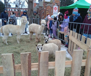 Siedlce: Orszak Trzech Króli 2026