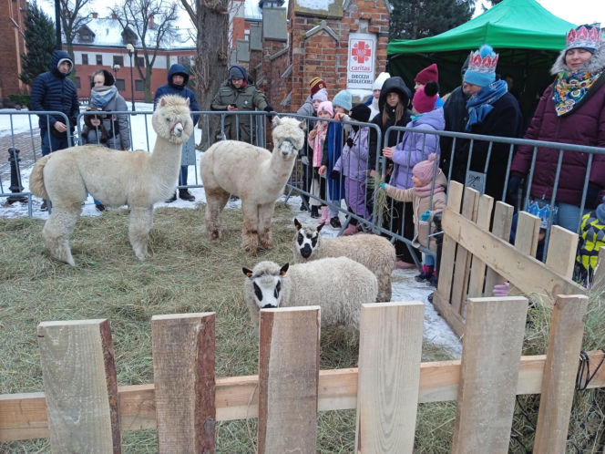 Siedlce: Orszak Trzech Króli 2026