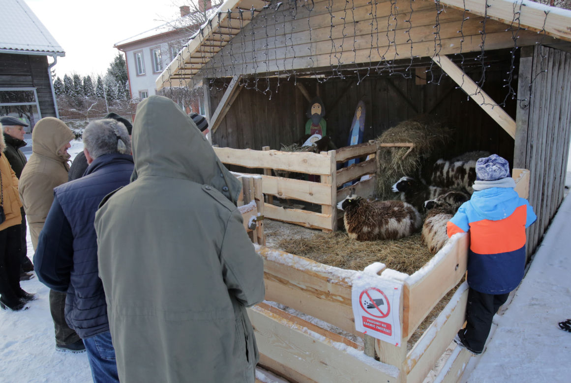 Żywa szopka bożonarodzeniowa w Krakowie. Każdy może ją już zobaczyć! [ZDJĘCIA]
