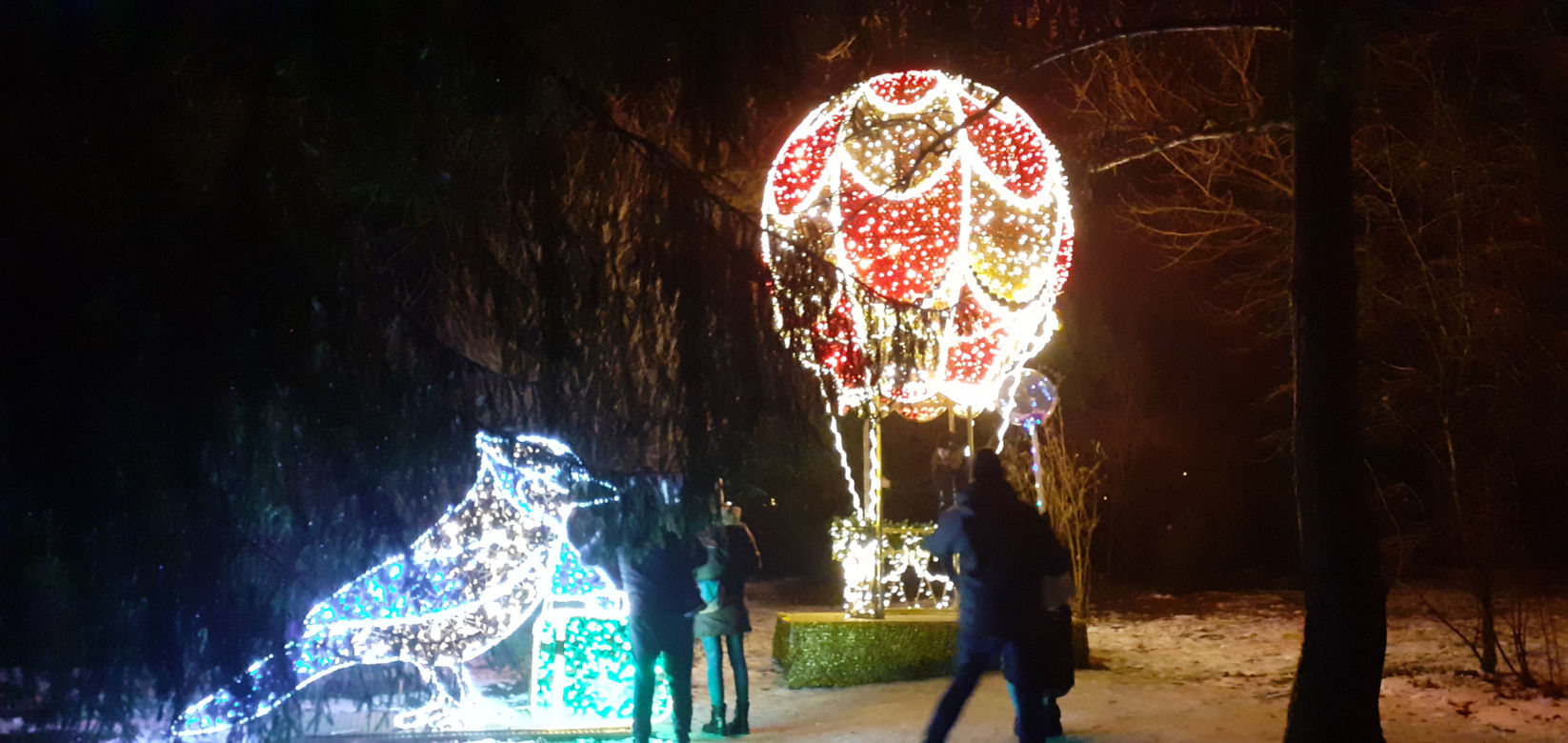 Lumina Park w Ogrodzie Botanicznym UMCS w Lublinie
