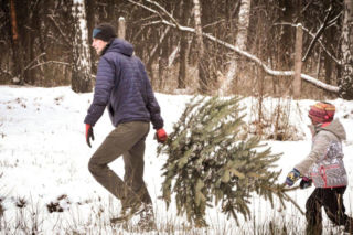 Choinka na dachu auta może słono kosztować! Kierowcy łapią się za głowę, a policja nie ma litości