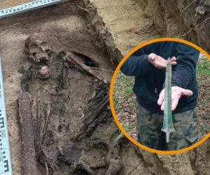 Znalazł w lesie prawie stuletnie szczątki i miecz sprzed 3000 lat! Poszukiwacz dokonał niezwykłego odkrycia