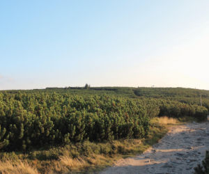 Góra Pięciu Kopców