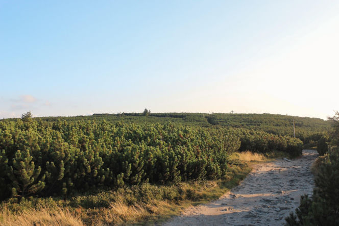 Góra Pięciu Kopców