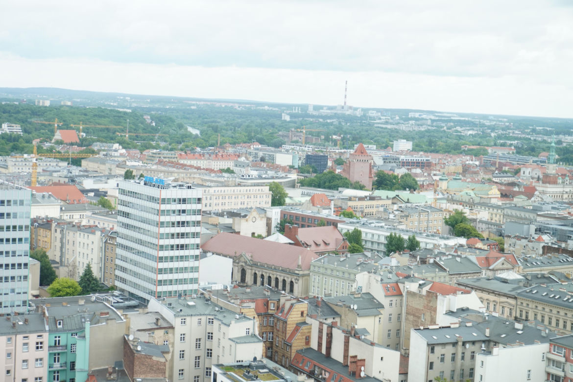 Otwarcie tarasu widokowego Collegium Altum 