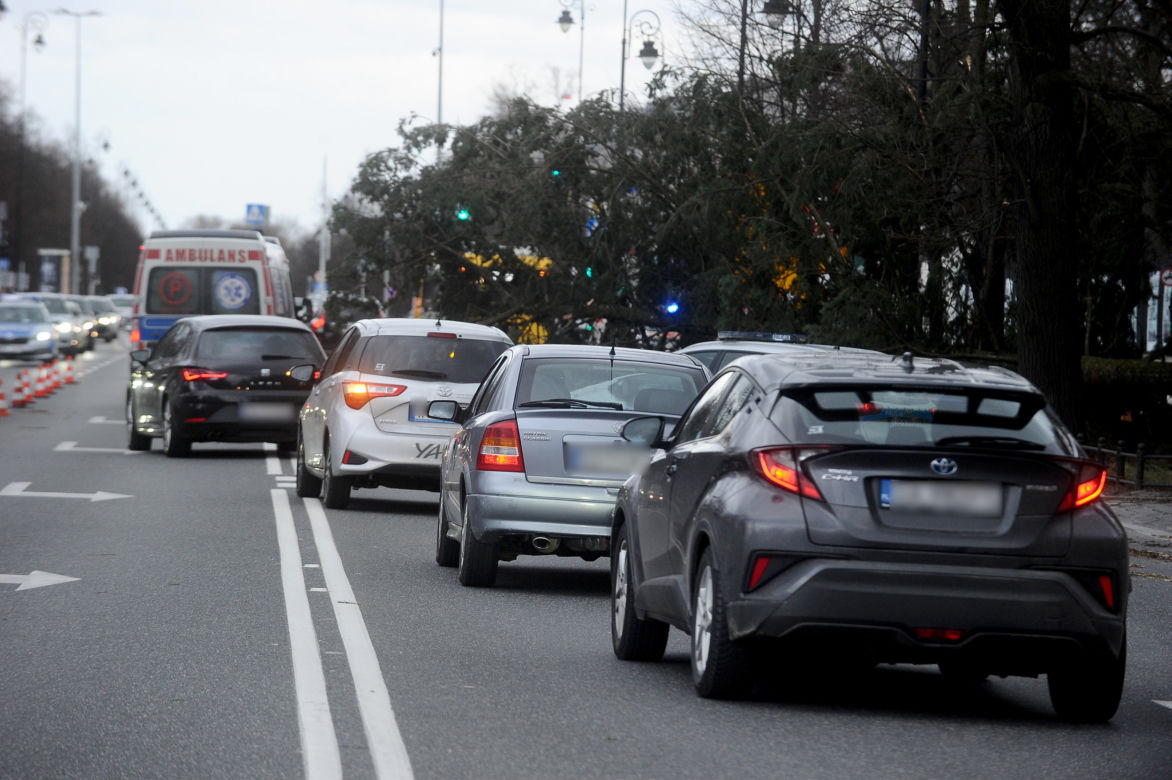 Warszawa: Al Ujazdowskie, potężne drzewo spadło na autobus i zablokowało ulicę