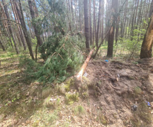 Wypadek w Radawie. Nie żyje 20-latek [GALERIA]	