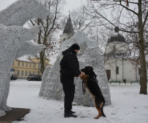 Tazer, policjant na 4 łapach, przeszedł na emeryturę