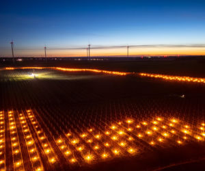 Przymrozki w winnicy - podgrzewanie winorośli