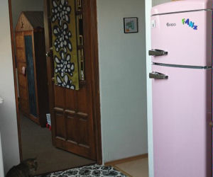 Zdjęcie 4515