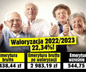 Waloryzacja
