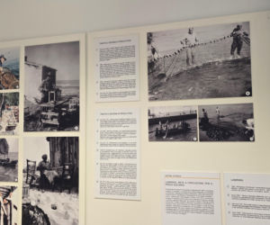 Turystyka rybacka w Cesenatico. Włoskie wybrzeże kusi polskich turystów