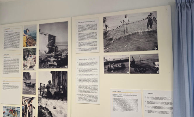 Turystyka rybacka w Cesenatico. Włoskie wybrzeże kusi polskich turystów