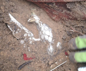 Sensacyjne odkrycie w starachowickim lesie! Pod ziemią przeleżało ponad 80 lat