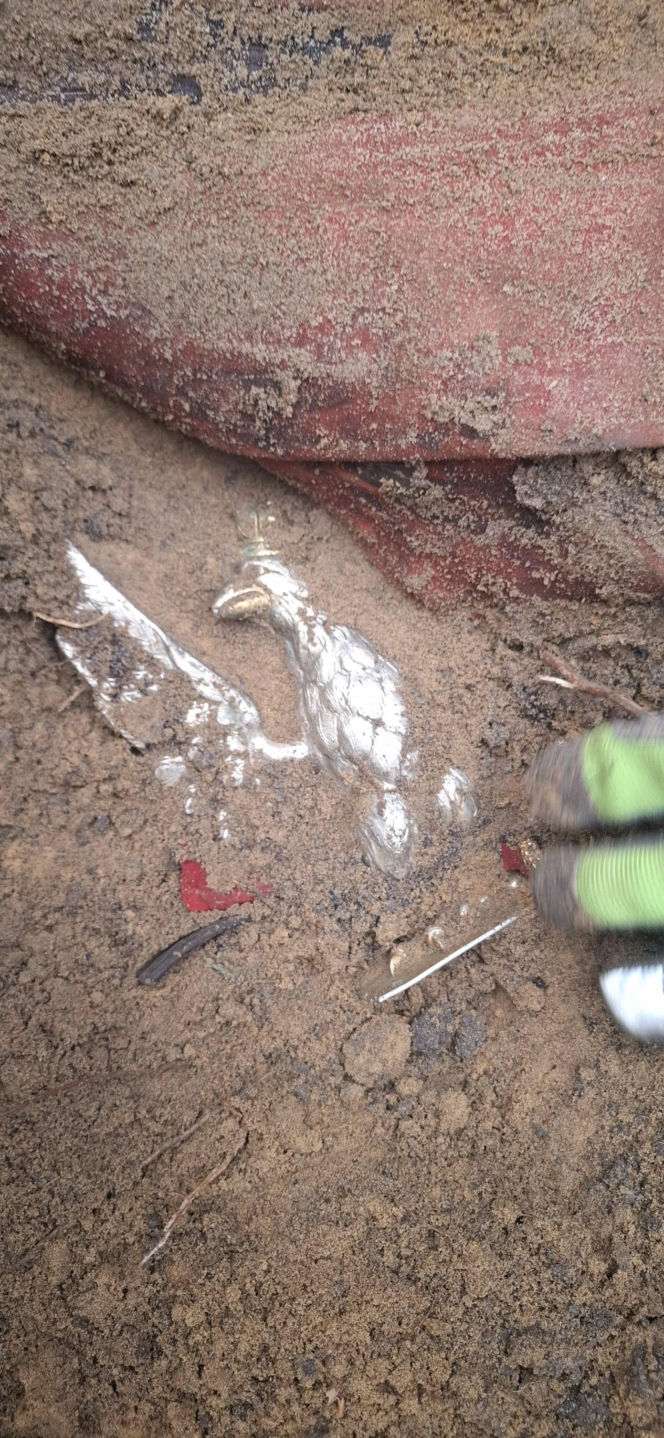 Sensacyjne odkrycie w starachowickim lesie! Pod ziemią przeleżało ponad 80 lat