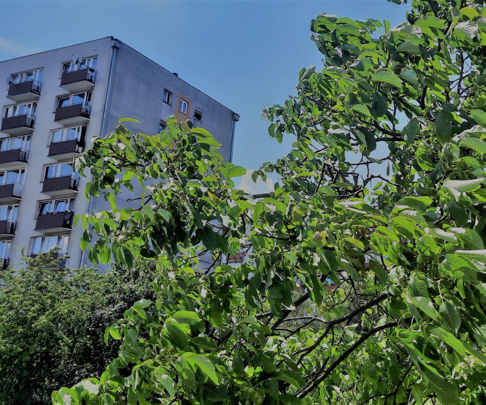 Plac Teatralny Opole