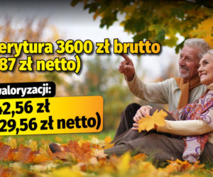 Polski Ład/waloryzacja 4,89