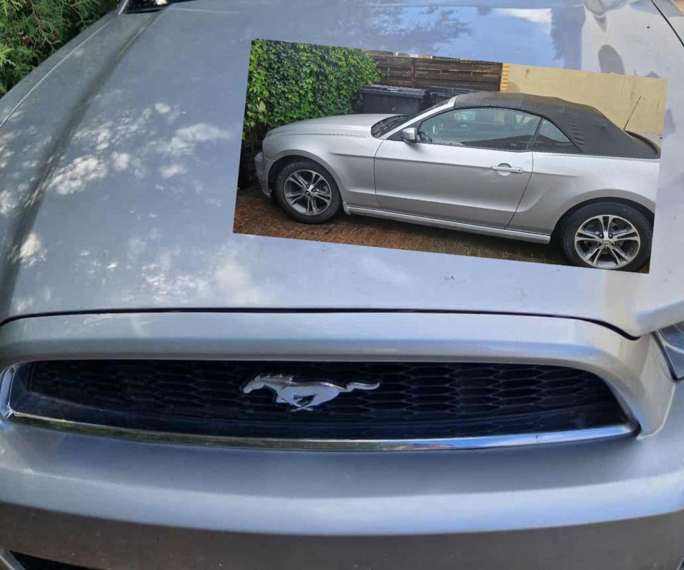 Piękny Ford Mustang za ułamek wartości. Skarbówka w Augustowie sprzedaje kultowe auto