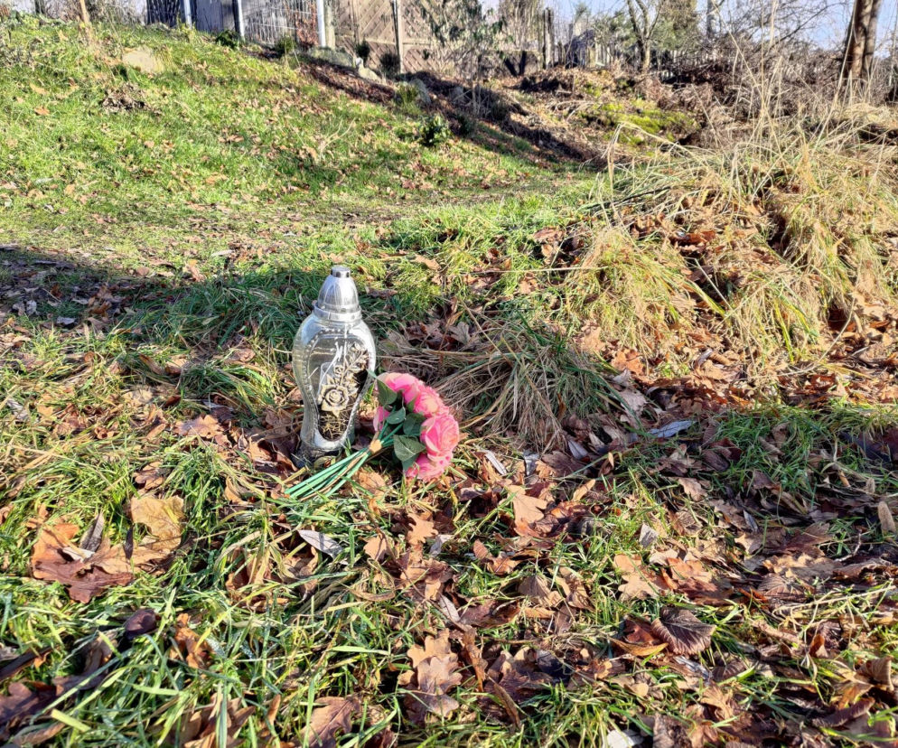 Zabójstwo 11-latki w Jeleniej Górze. Szkoła i miejsce dramatu