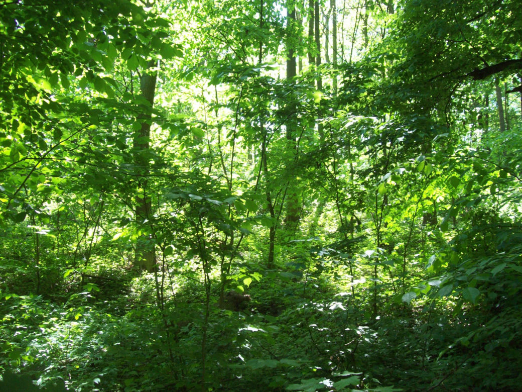 3. Wielkopolski Park Narodowy
