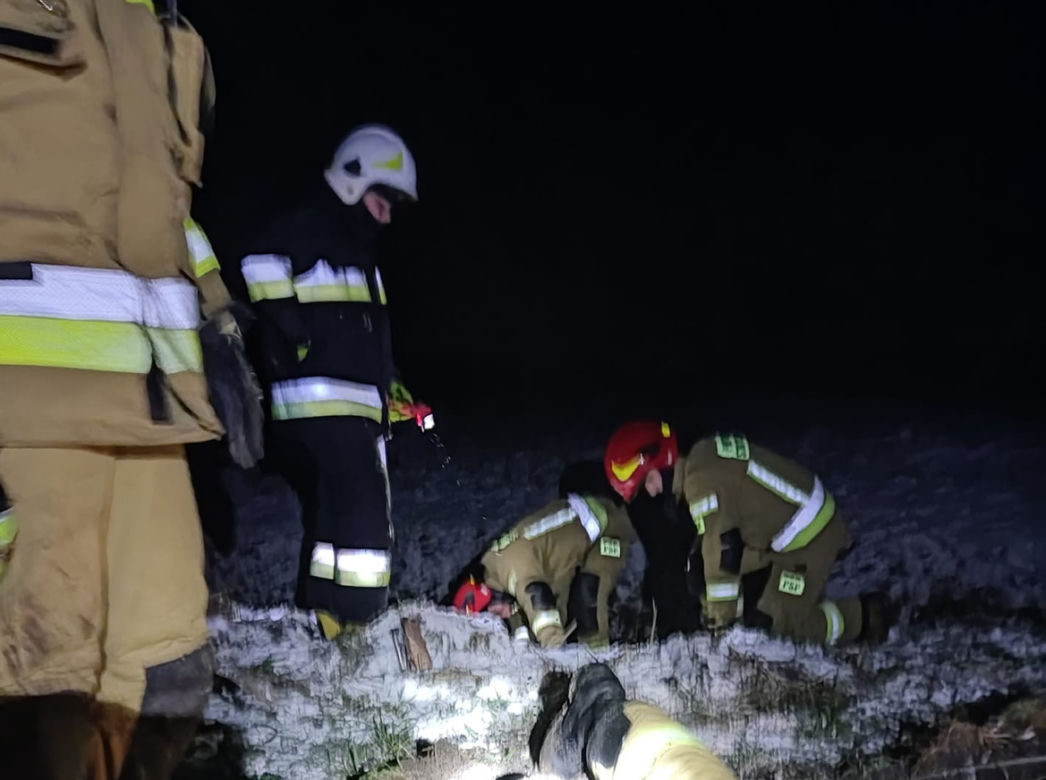Maleństwo zaklinowało się w bobrzej norze. Wcześniej ktoś wyrzucił szczeniaki w szczerym polu