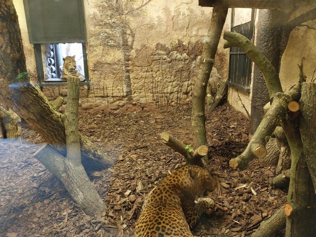 Wiosenny spacer w zamojskim zoo