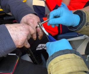 Nietypowa akcja strażaków. Mrozi krew w żyłach!