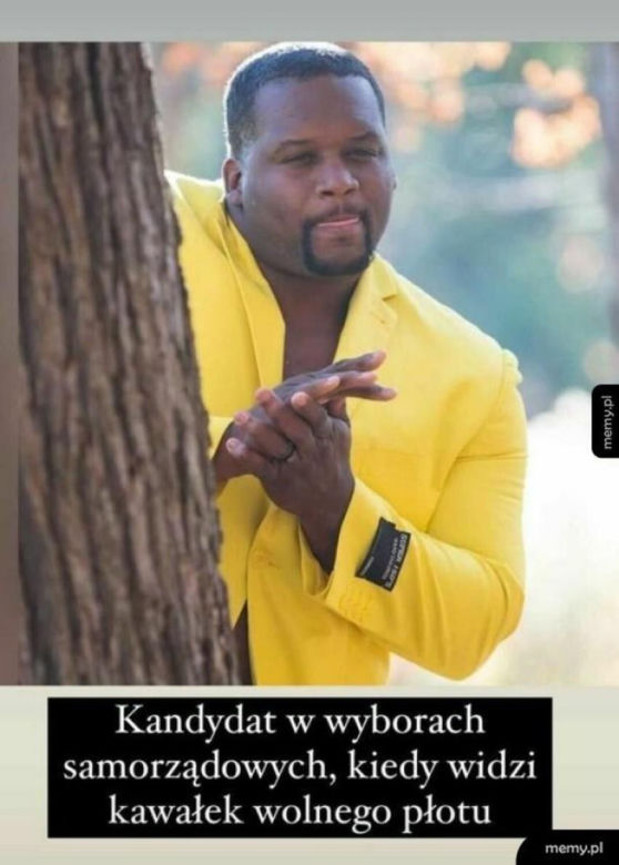 Najlepsze memy o wyborach samorządowych 2024. Internauci znowu nie zawiedli