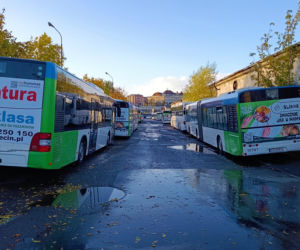 Inwestycje na Łasztowni i Kępie Parnickiej w Szczecinie