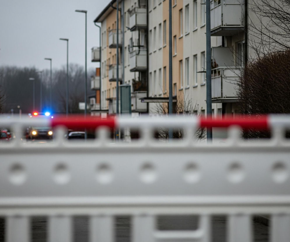 Na pierwszym planie widoczny jest fragment białej barierki drogowej z czerwonymi akcentami na górnej krawędzi, rozciągający się przez całą szerokość kadru. Barierka jest nieostra, skupiając uwagę na tle. Za barierką, po lewej stronie, znajdują się ciemne, gęste krzewy z widocznymi, nagimi gałązkami wystającymi ponad ich kształt. Po prawej stronie kadru, również za barierką, rosną podobne krzewy, a za nimi widać fragmenty nagich drzew o ciemnych gałęziach.

W tle rozciąga się ulica, wzdłuż której rozmieszczone są wysokie, szare latarnie uliczne, ciągnące się w głąb kadru. Po prawej stronie ulicy, w perspektywie, stoją wielopiętrowe budynki mieszkalne o jasnych fasadach, naprzemiennie kremowych i białych, z licznymi oknami i balkonami. Na ulicy w oddali widoczne są samochody z zapalonymi światłami, a także niebieskie i czerwone, migające światła pojazdu uprzywilejowanego, co sugeruje obecność służb ratunkowych. Całość otacza szare, pochmurne niebo, wskazujące na ponurą pogodę.