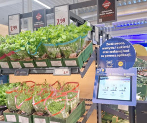 1000 Lidl w Polsce został otwarty w Katowicach