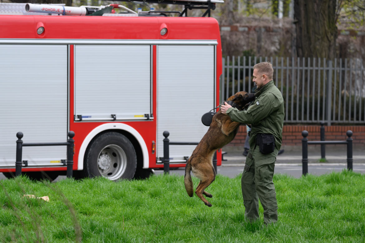 Poznań: Ćwiczenia "Wolf-Ram 23" w Parku Chopina