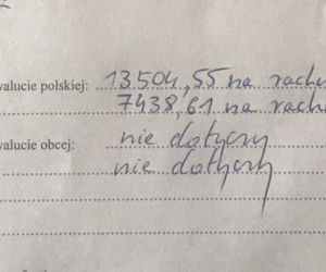 Bosak ujawnił, że ma 20 000
