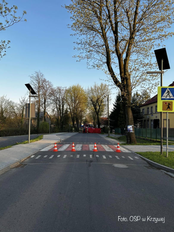 Motocyklista przewrócił się na progu zwalniającym i uderzył w drzewo. 42-latek zginął na miejscu