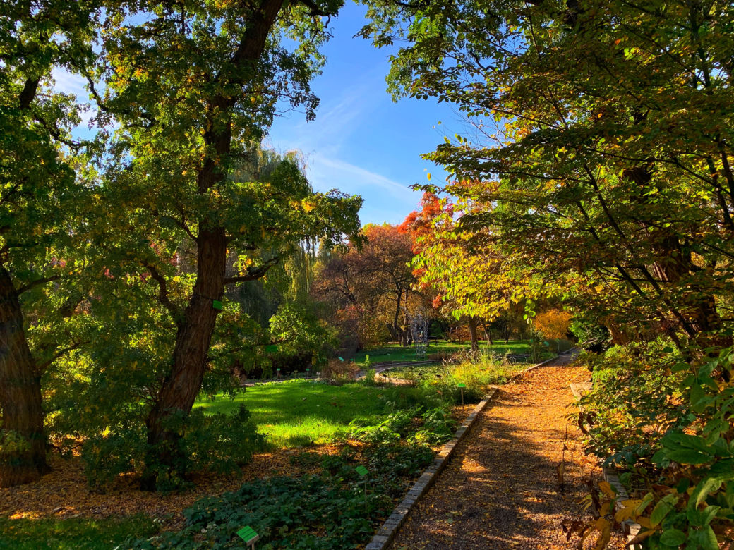 Jesień w ogrodzie botanicznym we Wrocławiu