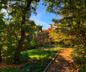 Jesień w ogrodzie botanicznym we Wrocławiu