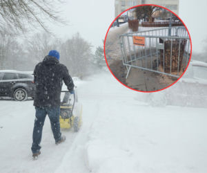 Tak władze Torunia reagują na mrozy