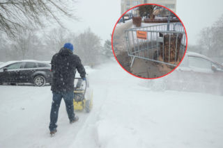 Tak władze Torunia reagują na mrozy