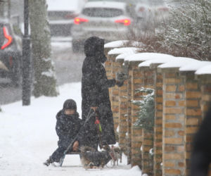 Marta Kaczyńska z synem i psami na sankach w lesie
