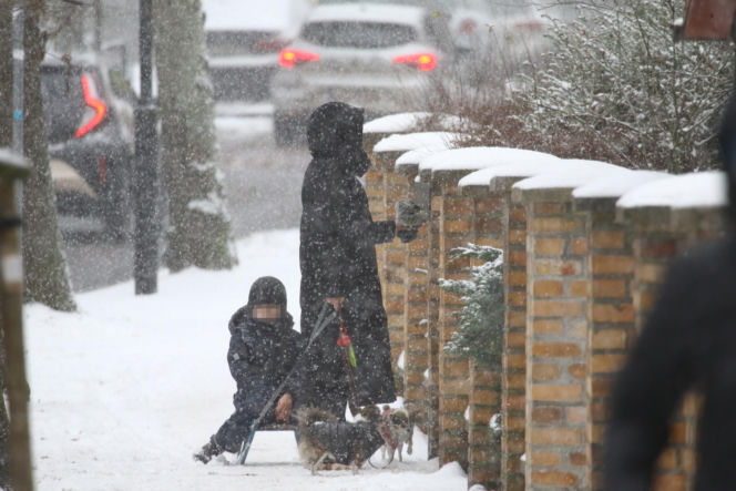 Marta Kaczyńska z synem i psami na sankach w lesie