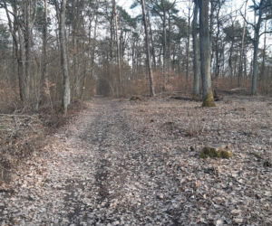W 54 godziny zdobyli 28 szczytów Korony Gór Świętokrzyskich