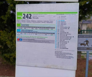 Romantyczny przystanek autobusowy w Moczyłach