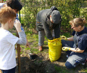 Nowe drzewa i krzewy w Parku Polisensorycznym