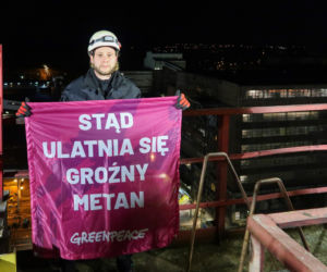 Greenpeace Knurów