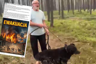 Konieczna była ewakuacja zwierząt z pobliskiego Przytuliska